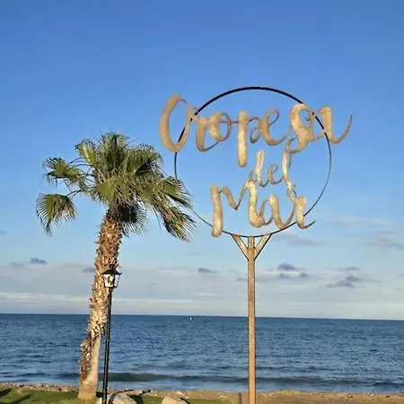 D&d * Oropesa del Mar